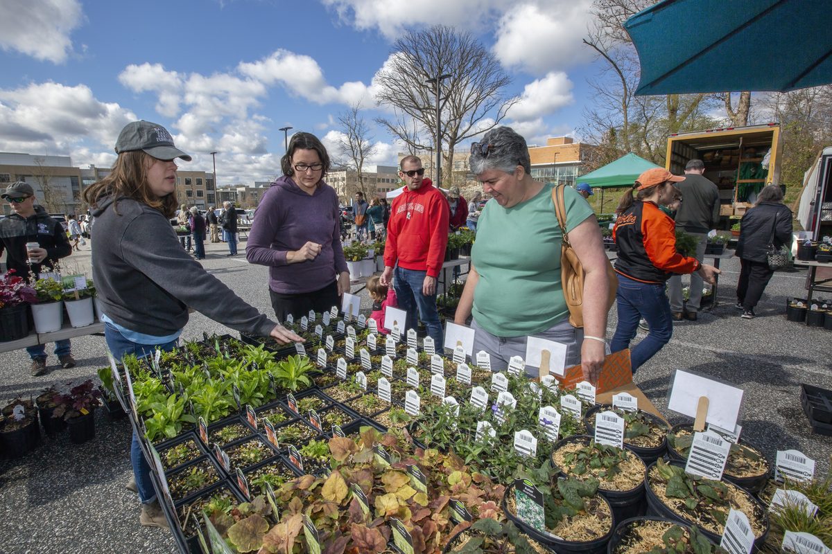 Howard County Announces GreenFest 2027 Date and Location